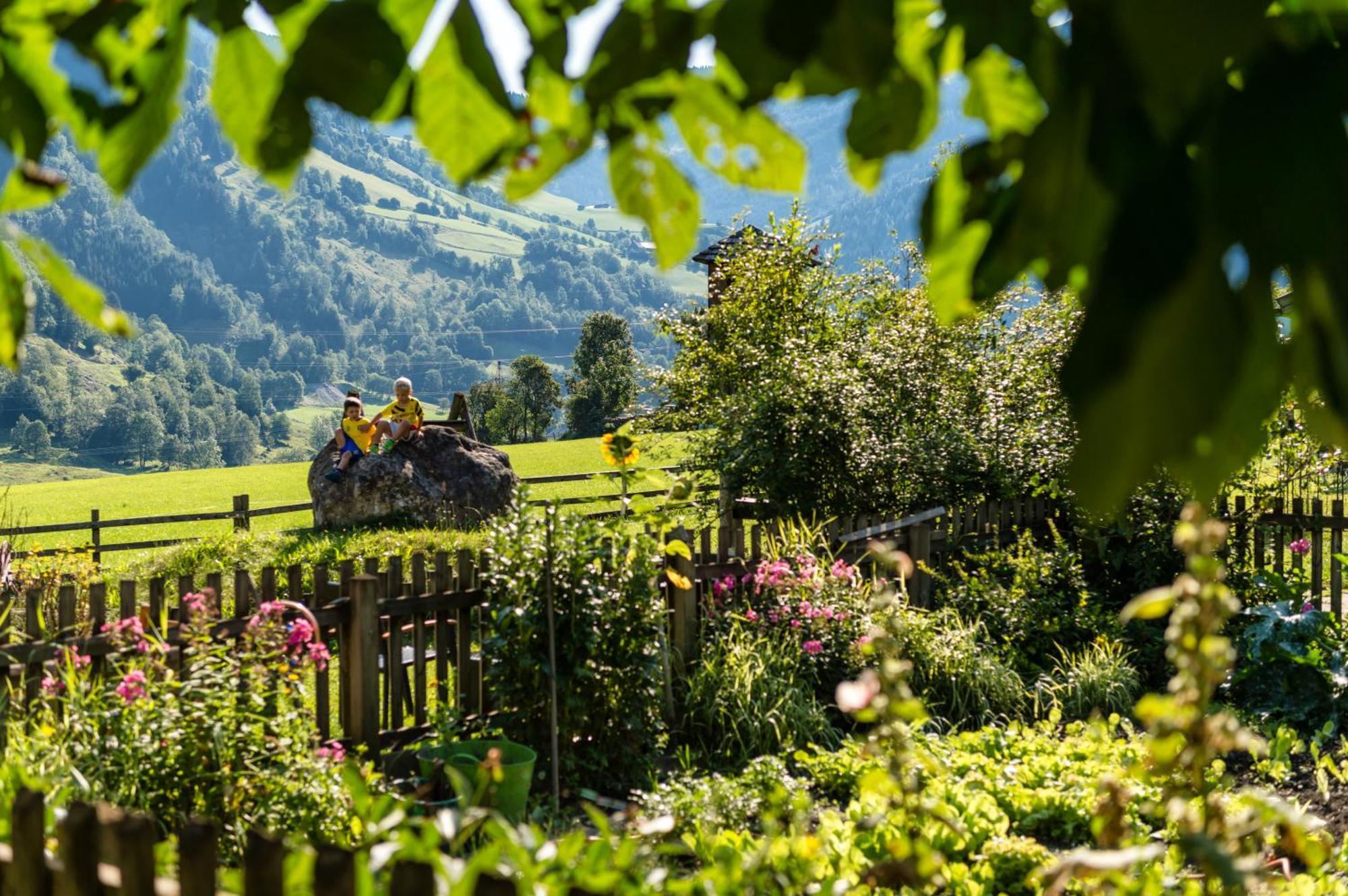 Bauernhofhotel "Die Unterbergerin" - Zimmer Mit Fruehstueck Und Ferienwohnungen In Gastein Mit Gratis Thermeneintritt Dorfgastein Buitenkant foto