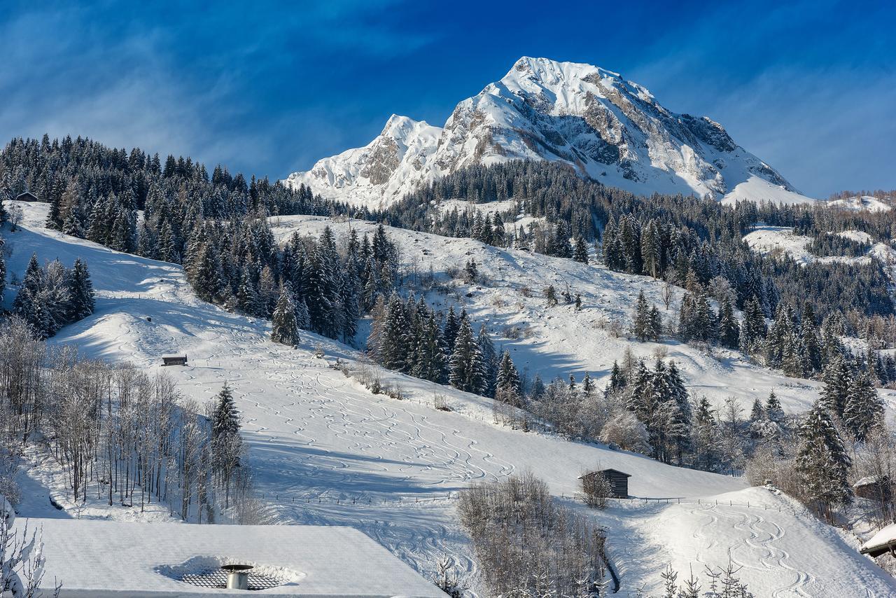 Bauernhofhotel "Die Unterbergerin" - Zimmer Mit Fruehstueck Und Ferienwohnungen In Gastein Mit Gratis Thermeneintritt Dorfgastein Buitenkant foto