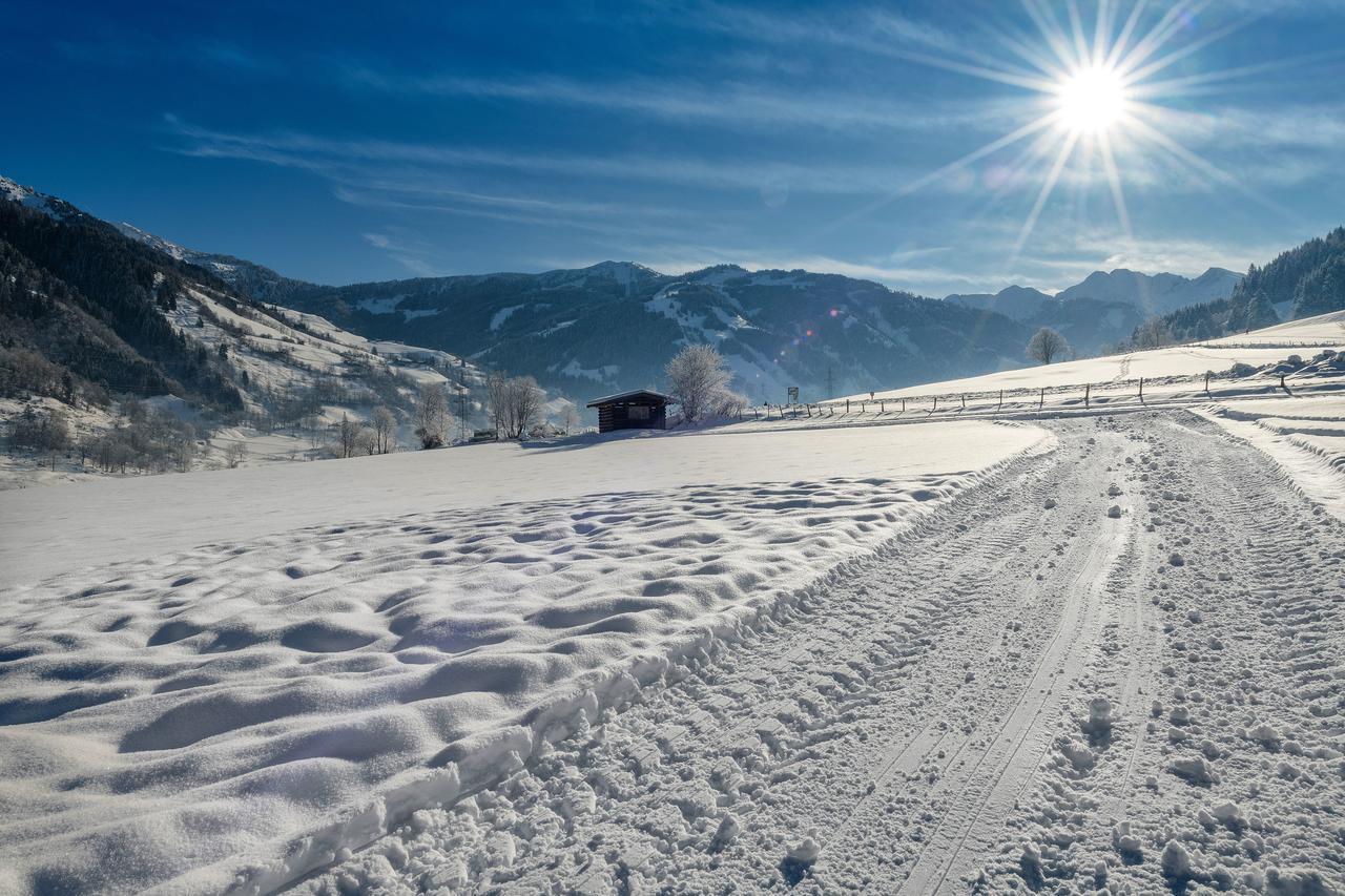 Bauernhofhotel "Die Unterbergerin" - Zimmer Mit Fruehstueck Und Ferienwohnungen In Gastein Mit Gratis Thermeneintritt Dorfgastein Buitenkant foto